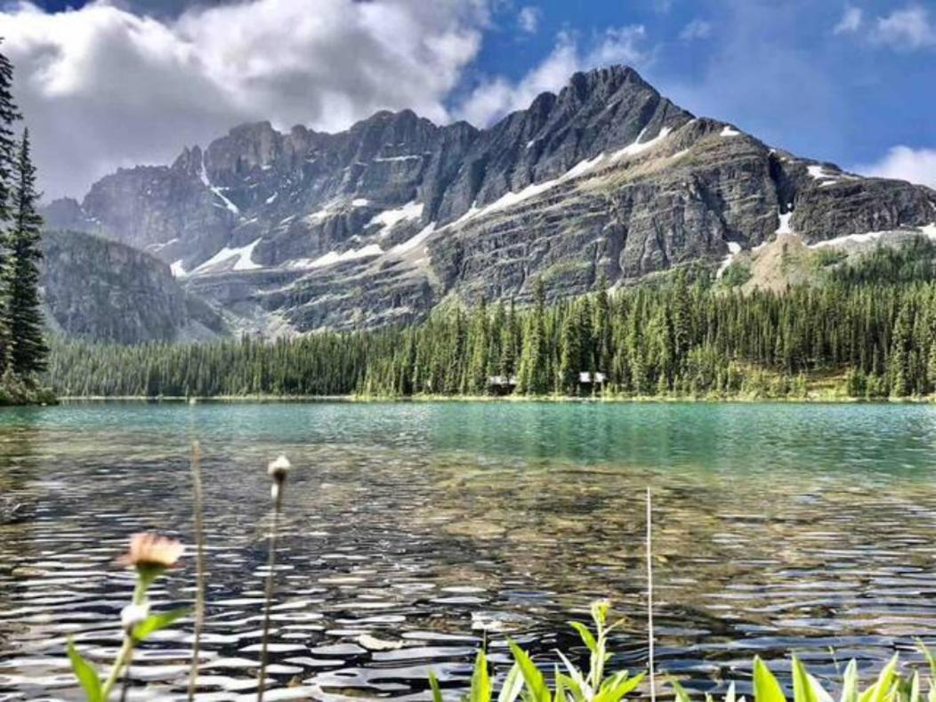 Falcon Crest Lodge 1 Bedroom Condo With Gym & Hot-Tubs & Mountain View Canmore Dış mekan fotoğraf